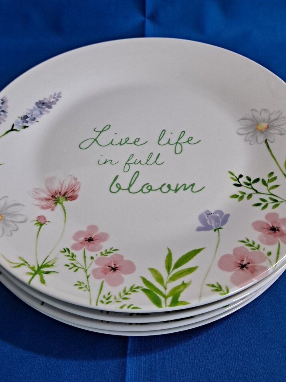 Set 4 Royal Norfolk WILDFLOWER Salad PLATES 8" Floral Spring Wild Flower Side